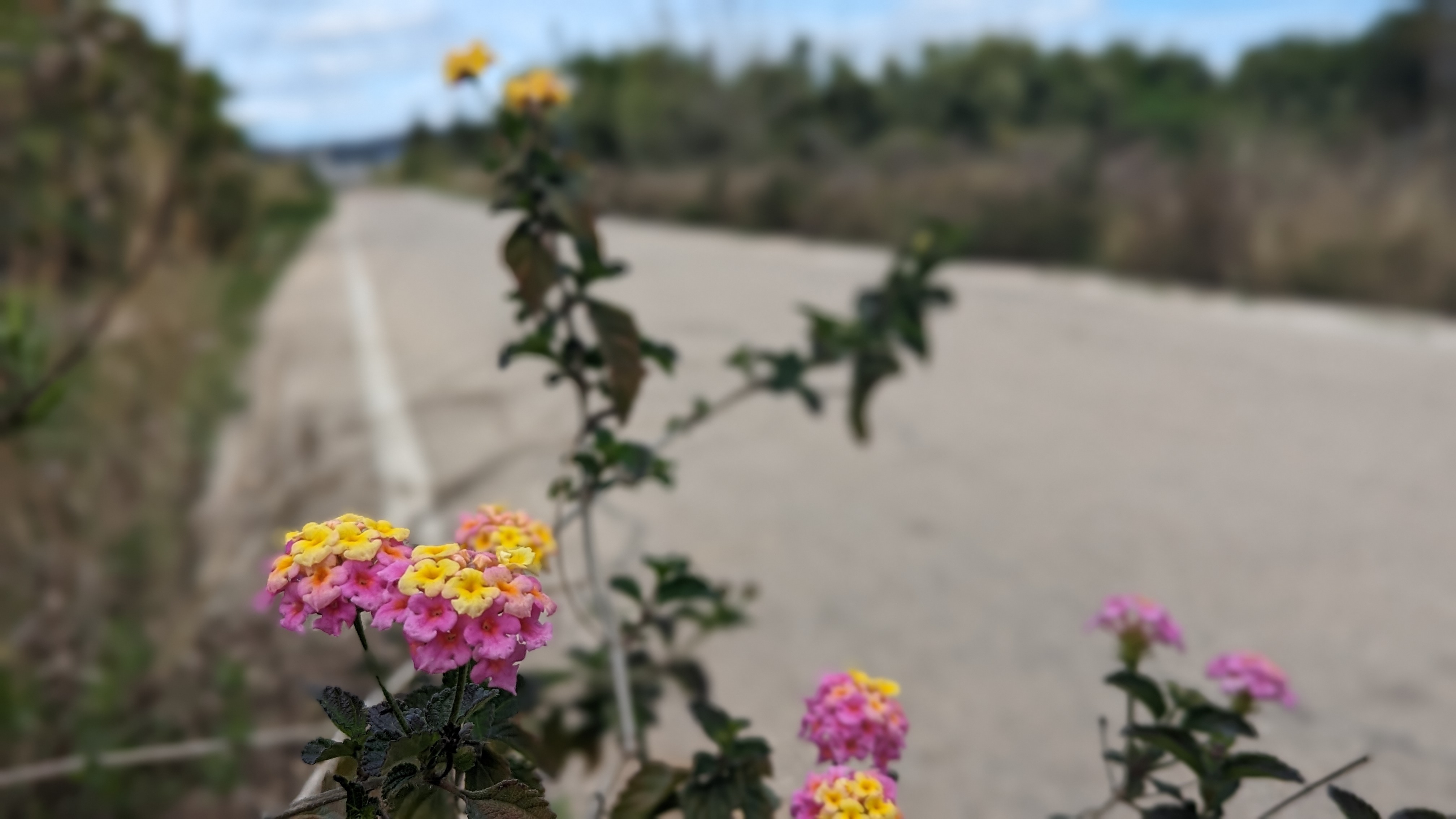 Via Verde Cycling Route